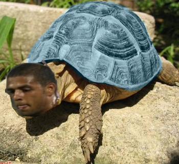 TartaMelo.jpg